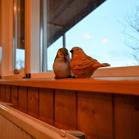 Thingvellir Cabin/Chalet Selfoss Zewnętrze zdjęcie