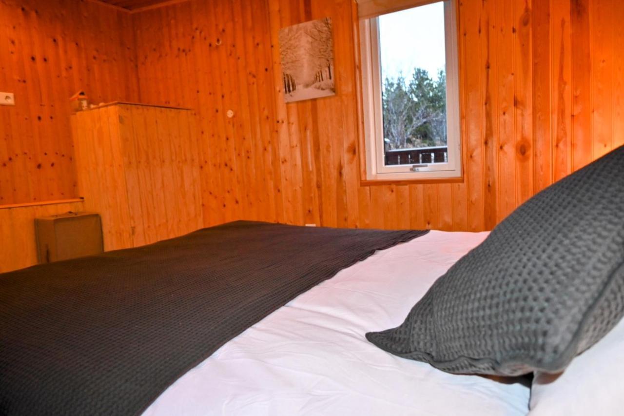 Thingvellir Cabin/Chalet Selfoss Zewnętrze zdjęcie