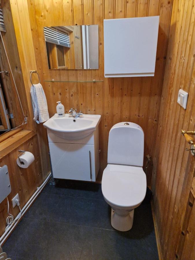 Thingvellir Cabin/Chalet Selfoss Zewnętrze zdjęcie